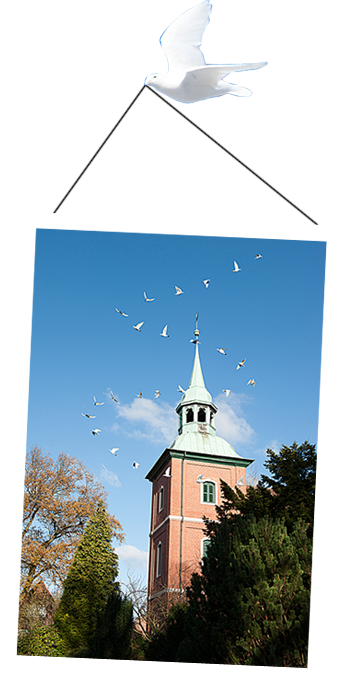 Tauben fliegen um Kirchturm