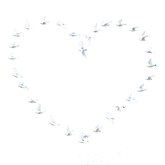 Tauben fliegen in Herzform
